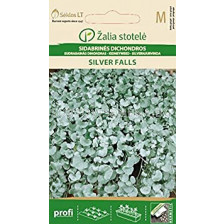 Семена Дихондра сребърна / KIDNEYWEED SILVER FALLS / 'SK -1 оп