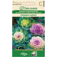 Семена Декоративно зеле / CABBAGE ORNAMENTAL / 'SK -1 оп