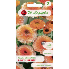 Семена Невен розова изненада / Calendula officinalis Pink Surprise /LG 1 оп