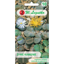 Семена Живи камъчета микс / Lithops mix /LG 1 оп 