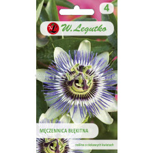 Семена Пасифлора синя / Passiflora caerulea blue /LG 1 оп