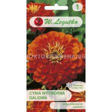 Семена Циния Ориндж Кинг / Zinnia elegans dahlia fl. Orange King /LG 1 оп