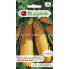Семена Тиквички жълта изобилна Атена Полка F1 / Squash (zucchini) Atena Polka F1 /LG 1 оп 