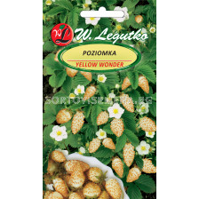 Семена Ягода жълто чудо / Alpine Strawberry Yellow Wonder /LG 1 оп 