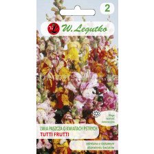 Семена Кученца ниски тути Фрути / Antirrhinum majus /LG 1 оп 