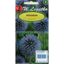 Челядник / Echinops ritro electric blue/ LG 1 оп