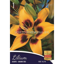 Лилиум (Lilium) Grand Cru 16/18