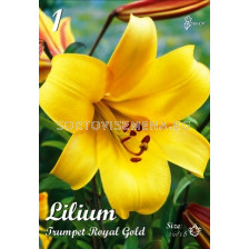 Лилиум Тромпет (Lilium) Royal Gold 16/18 
