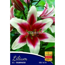 Лилиум Lilium O.T. Triumphator 16/18