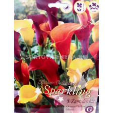 Кала Sparkling Orange/Yellow 