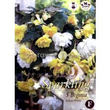 Бегонии (Begonias) Mix Sparkling (Yellow/ white)