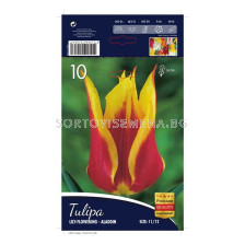Лале (Tulip) Lilyflowering Aladdin 11/12 