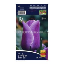 Лале (Tulip) Triumph Blue 11/12 