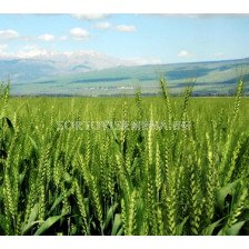 Баунти СК - 5 л. Аграра ООД