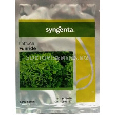 Салата Фънрайд F1 - 5000 сем