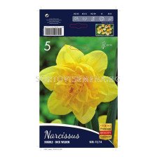 Нарцис (Narcissus) Dick Wilden 12/14