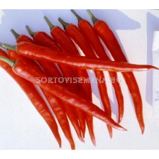 Семена Пипер люти чушки Centi Odorant F1 - 100 сем