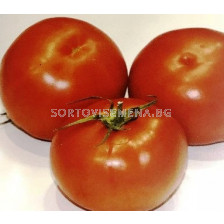 Семена Домати TSX-551 F1 - 100 сем - Tomato TSX-551 F1 - 100 seeds