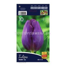 Лале (Tulip) Triumph-Lila 12/+ (10 луковици)
