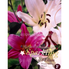 Лилиум (Lilium) Sparkling Purple/White