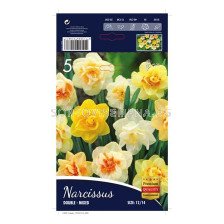 Нарцис (Narcissus) Double Mixed 12/14