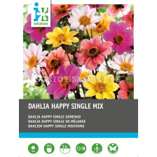 Далия / Dahlia happy single gemengd / 1 оп- 5 корен