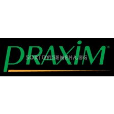 Праксим-200 мл