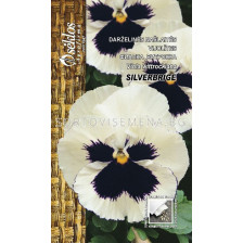 Семена Теменужка бяло-черна  / PANSY SILVERBRIGE  / 'SK -1 оп