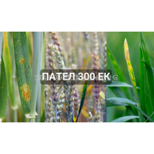 Пател 300 ЕК - 5 л