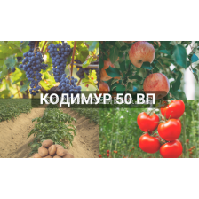 Кодимур 50ВП