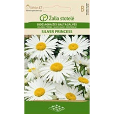 Семена Маргаритки / SHASTA DAISY SILVER PRINCESS / 'SK -1 оп