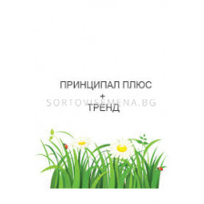 Принципал Плюс 2200 г. + Тренд 0.5 л.