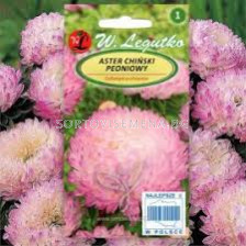 Астра божур бяло-розова /Callistephus chinensis Paeony pink&white/ LG - 1 оп