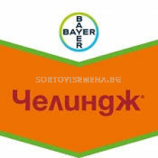 Челиндж 600 СК - 5 л