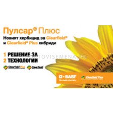 Пулсар Плюс - 10 л