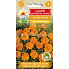 Семена тагетес / Aksamitka Harvest Moon / TF - 1 оп