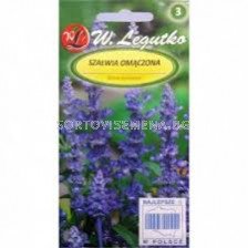 Семена Салвия / Salvia farinacea blue / LG -1 оп