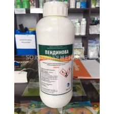 Пендинова 10л