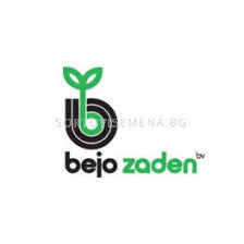 Семена Зеле червено островърхо Red Flame F1/ BJ -2500 семена 