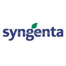 Семена спанак Одисей /Syngenta / 1 оп- 100 000 сем