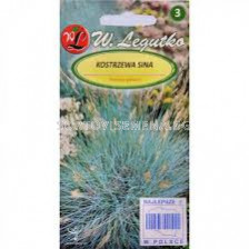 Семена Фестука / Festuca glauca silvery-blue/ 'LG -1 оп