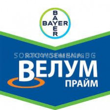 Велум прайм 