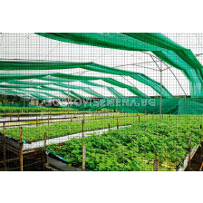 Плантина засенчваща мрежа 40% зелена   55 g/m2