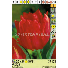 Лале  Abba - пакет: 1 оп.- 5 бр.