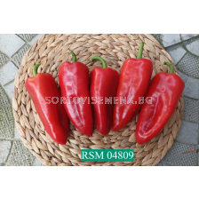 Семена пипер RSM 4809 F1 /TSWV, Xc/ - 500 семена