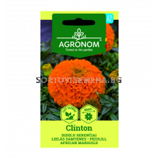 СК СЕМЕНА ТАГЕТЕС CLINTON 