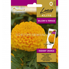 Тагетес оранжев TAISHAN ORANGE - 'SK - 20 семена