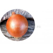 Лук на дългия ден Соприло F1 /AgroTIP/
