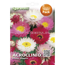 Семена Акроклиниум - Acroclinium  