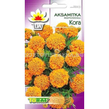 Тагетес / Kora pom/TF-1 гр